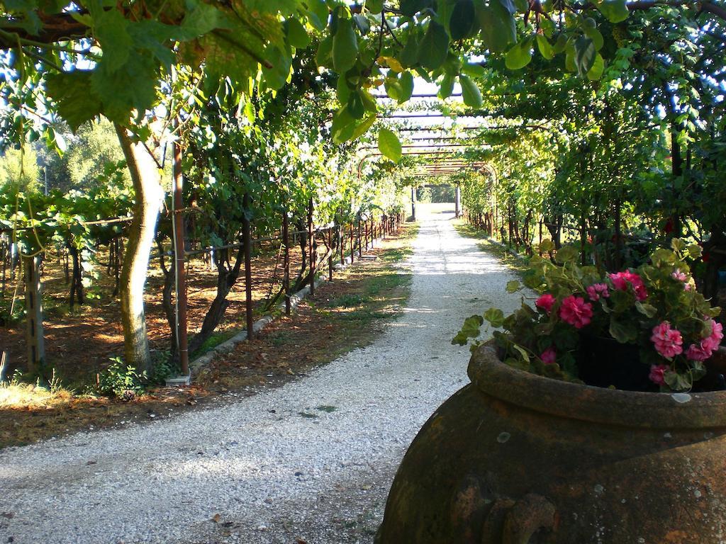 Valle Degli Arci Castel Madama Zewnętrze zdjęcie