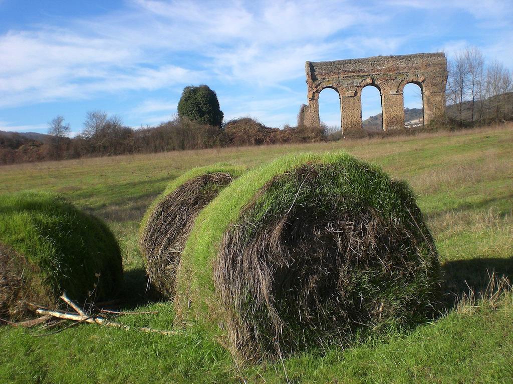 Valle Degli Arci Castel Madama Zewnętrze zdjęcie